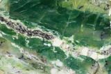 Polished Green-White Opal Slab - Western Australia #132923-1